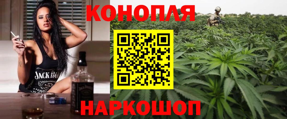 Грозный  Канабис тримм  Шишки марихуана тримм  Вход с VPN  Конопля AK-47  Бошки Шишки конопля 